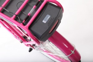 Pedego Canada Electric Bike battery