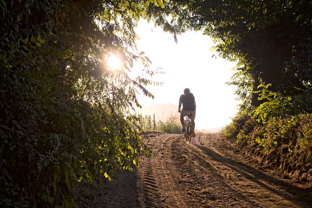 electric bikes on rail trails