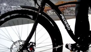 Fat Tire Pedego