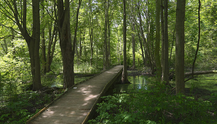 Point Pelee National Park, Ontario