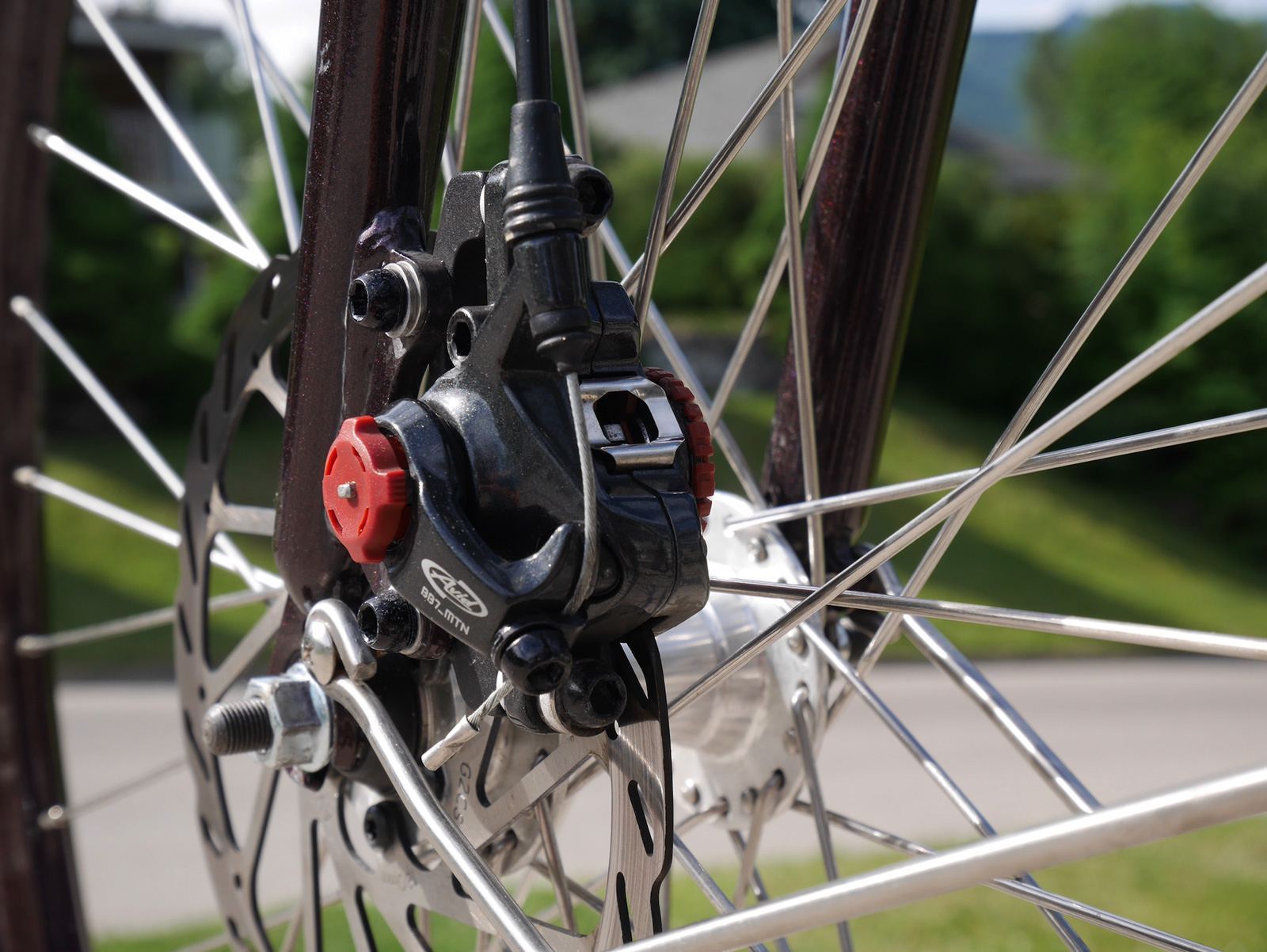 squeaky hydraulic bike brakes