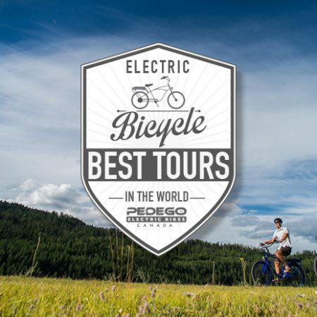 World's Best Pedego Tours