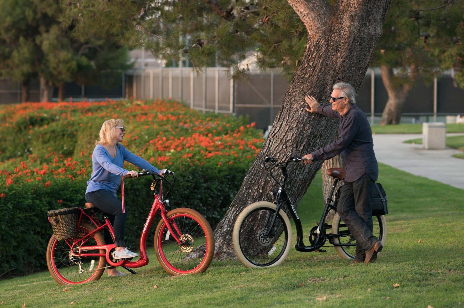 Pedego boomerang plus for sale hot sale