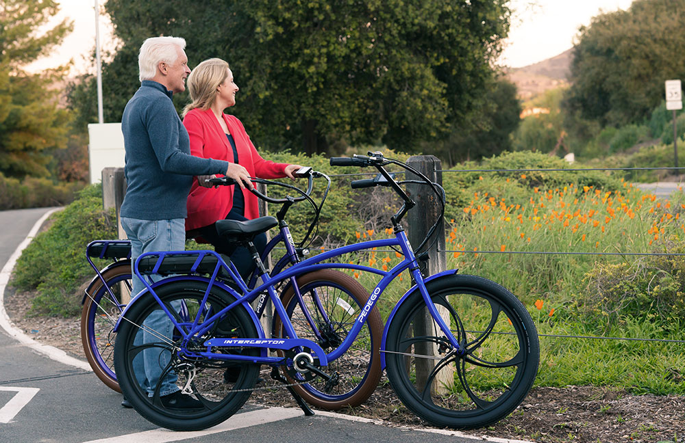 Electric bike for online senior citizens