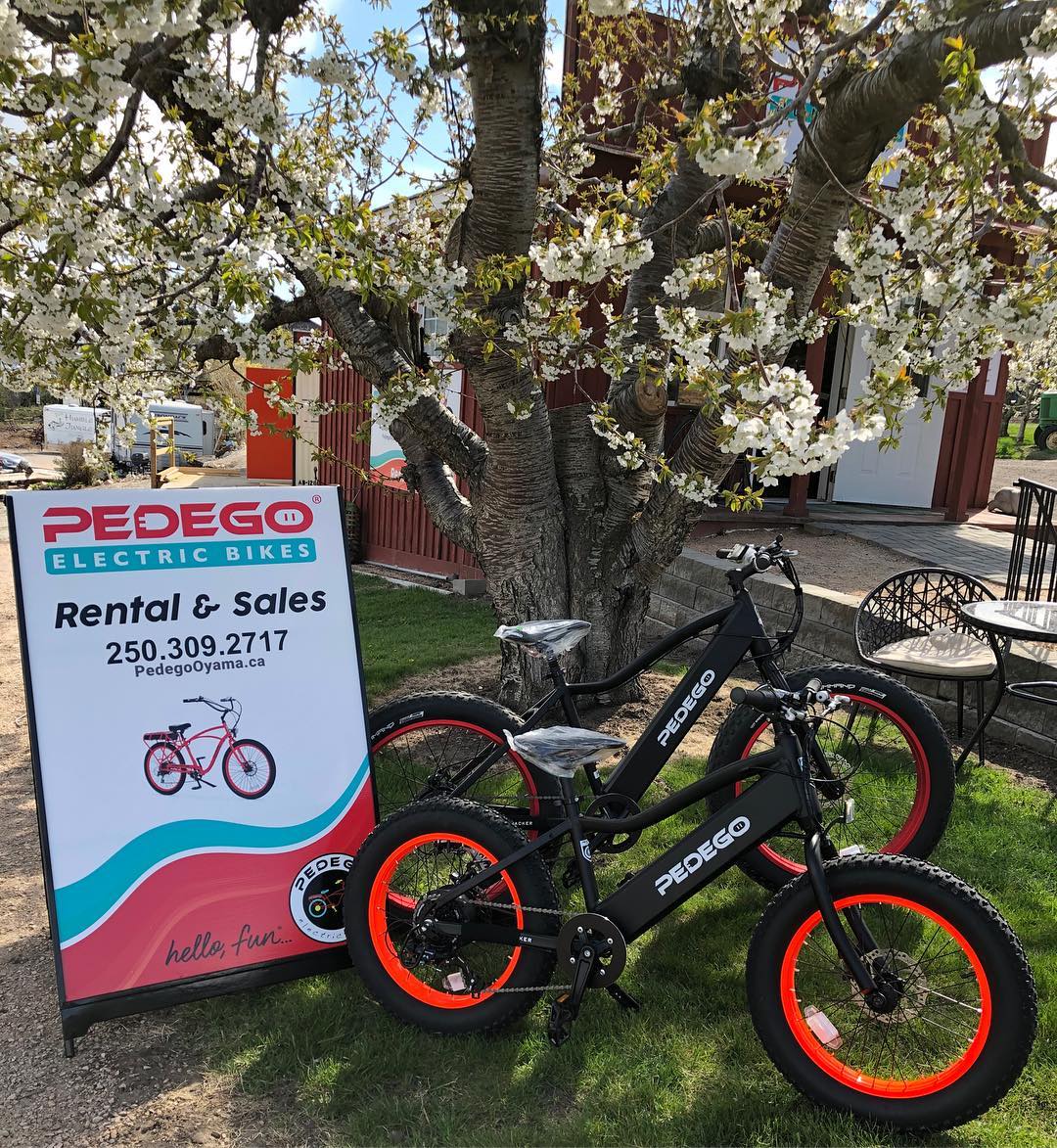 Pedego Oyama | Pedego Electric Bikes Canada
