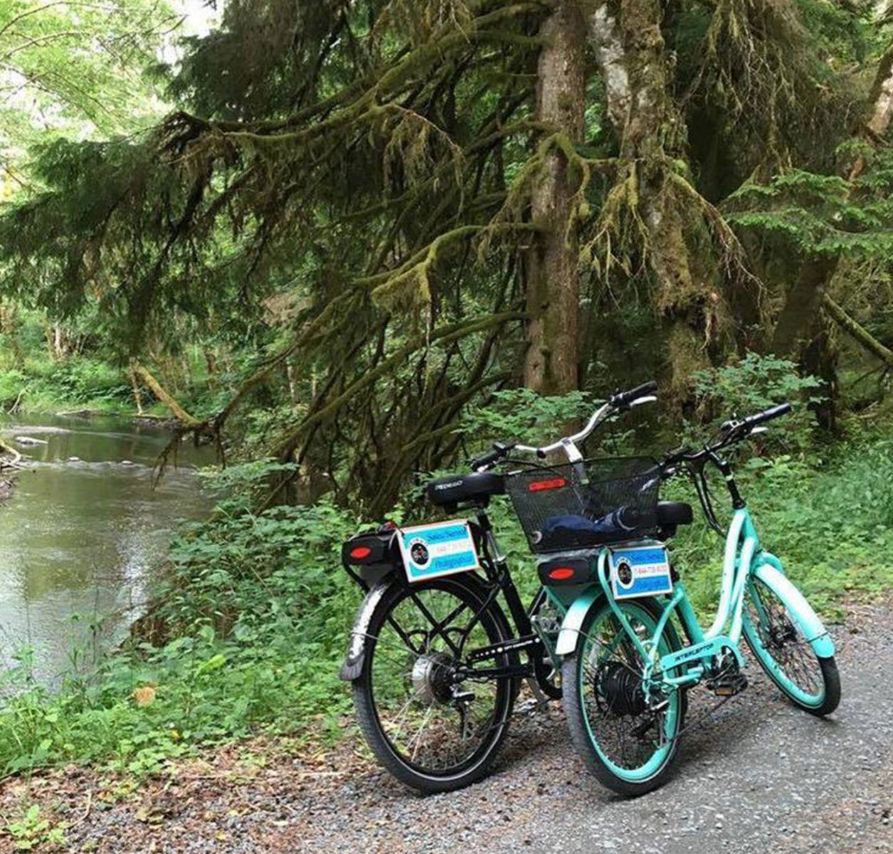 electric bikes qualicum beach