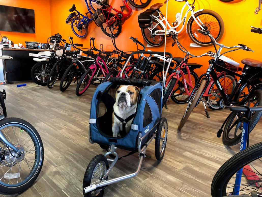 Dogs, Cats Electric Bikes Pedego Electric Bikes Canada