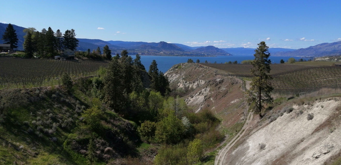 Pedego Electric Bikes in Penticton British Columbia