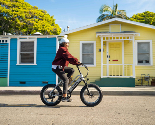 Pedego Element Platinum Edition - Pedego Canada