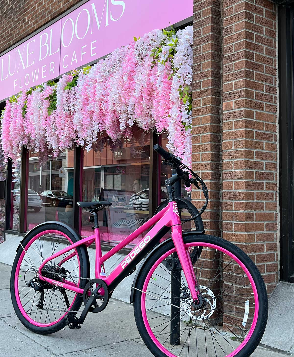 Pedego Avenue in Pink in Ottawa, Ontario