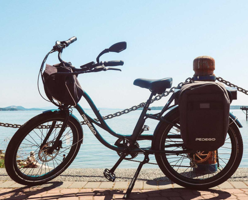 Pedego electric cruiser bike parked beside the ocean.